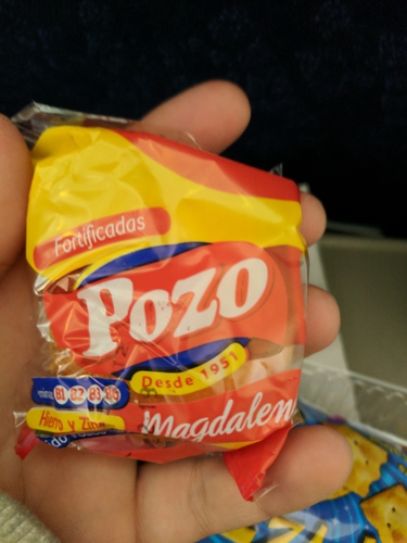 Magdalena Pozo en servicio de vuelo Andes